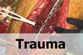 VJ Ortho orthopaedic surgery educational video - trauma